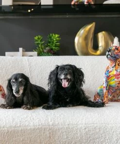 Interior Illusion Plus Interior Illusions Plus Street Art Dachshund - 17" long -Sports Shoes Store 826bb066be414143a6279640788b0503 dfc511ee faa3 4dd2 b0cd 2e45322e7aed 1080x